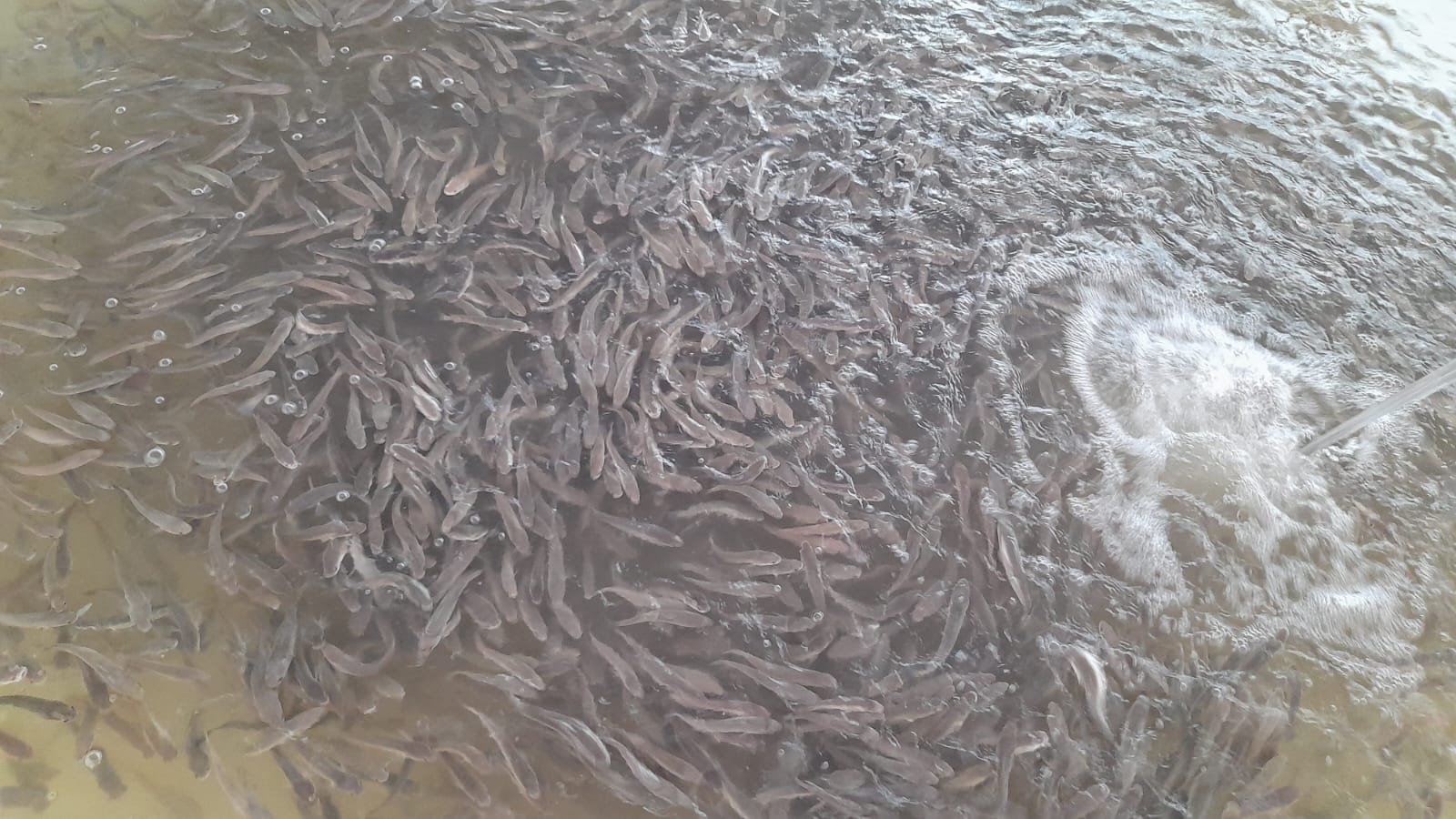 WhatsApp Image 2025-07-25 at 18.24.36_97b91c04.jpg